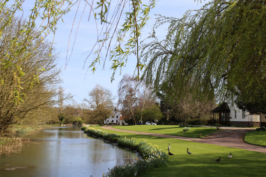 Mortgage advice in Fyfield Essex — specialist mortgage brokers for first time buyers, home movers and remortgage